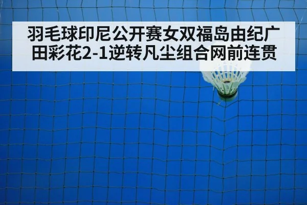 羽毛球印尼公开赛女双福岛由纪广田彩花2-1逆转凡尘组合网前连贯